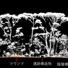 点群データ断面からわかるマウンドと森林構造