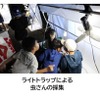 高松自動車道・高瀬パーキングエリア（PA）（下り線）において、ライトトラップで虫を採集する親子向けイベントを開催