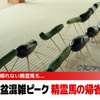 トヨタのお盆向け動画「空飛ぶ精霊馬」