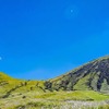 投稿写真のイメージ