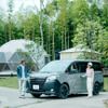 80 NOAH URBANATURE