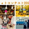 フォトコンテスト