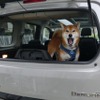 シトロエン・ベルランゴ SABLE MAX BlueHDi