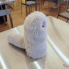 ルーデンスAIのペットロボット、INU