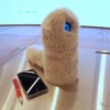 大きさはこれぐらい