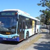 シドニー近郊はバスが縦横無尽に走り回っていてとても便利に移動できる。