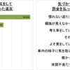 慣れない道でのスピード違反には要注意