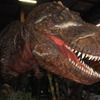 全長15mの超巨大ティラノサウルスが大迫力で君に襲い掛かる!?