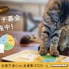 イエローハット：猫パンチ募金