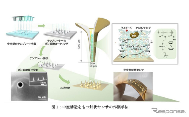 本田技術研究所、東京大学、大阪大学、三洋化成が皮膚に貼る新型センサー共同開発