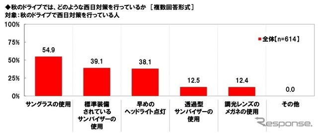 秋のドライブでは、どのような西日対策を行っているか（複数回答形式）