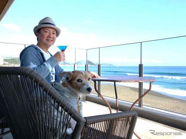 後で悔やんでも遅い！ 愛犬とドライブ旅行を重ねる意味と理由