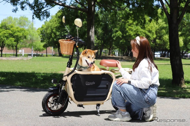 Doggie ベージュ