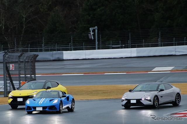 最新のロータスたち