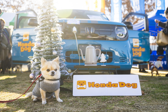 Honda Dog…Sippo Festa2025
