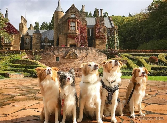 ロックハート城でドレス体験（イメージ）