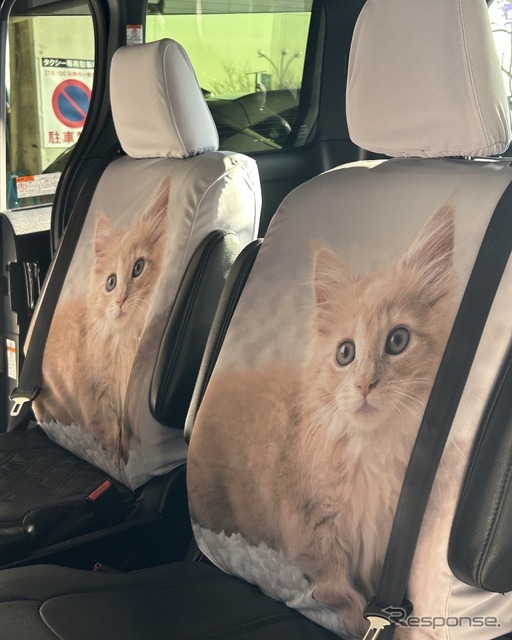 特別仕様のねこシート