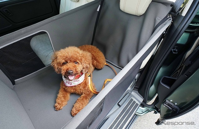 純正愛犬用アクセサリー「Honda Dog」シリーズペットシートサークル