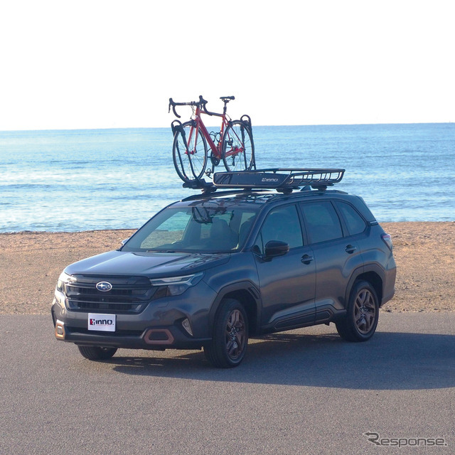 カーメイト INNO ルーフバスケット100