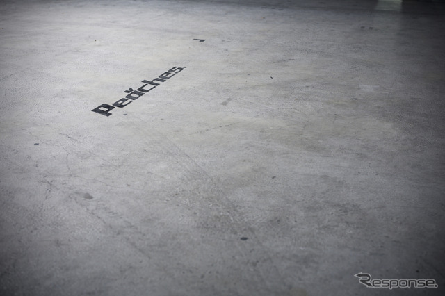 NoWhereToGo 2026（ノーウェア・トゥ・ゴー）