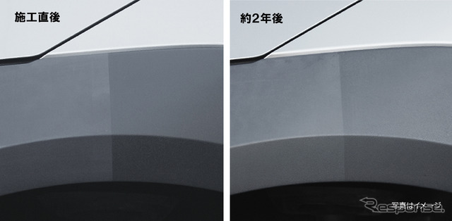 復活王 黒樹脂用