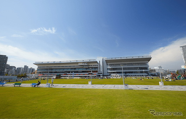 川崎競馬場 芝生広場
