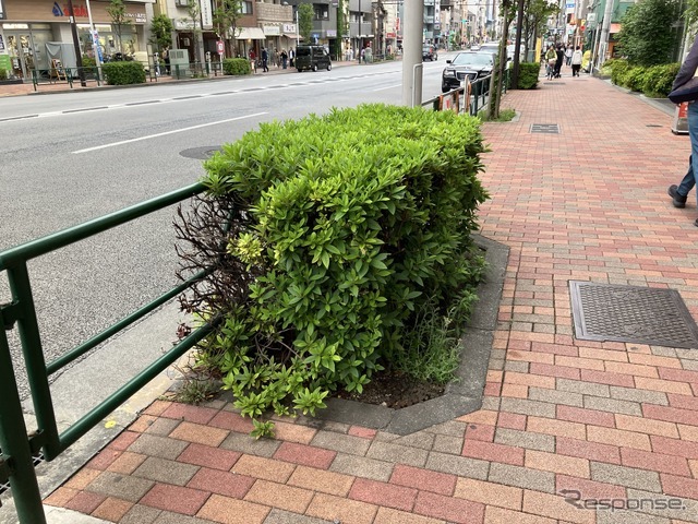 植え込みの例（東京都江東区）