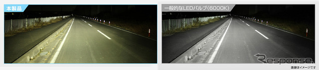 実用性を重視する人に｜LEDヘッド＆フォグバルブ C4000