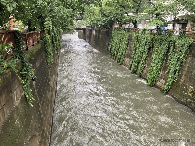 目黒川（6月3日、東京都目黒区）