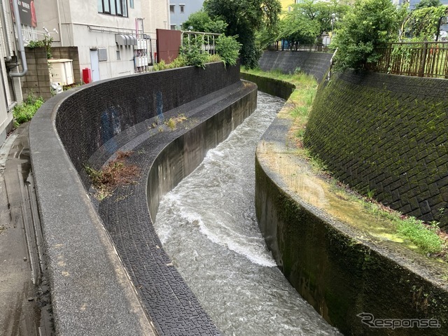 渋谷川（6月3日、東京都渋谷区）