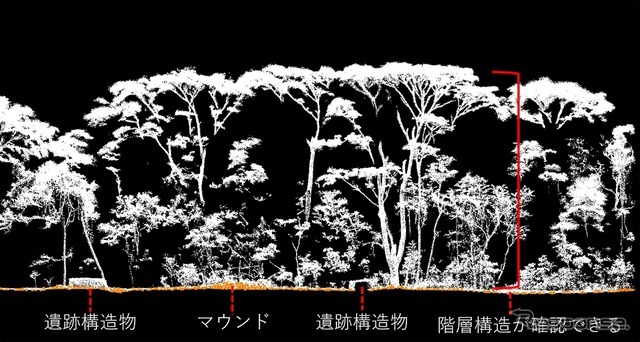 点群データ断面からわかるマウンドと森林構造