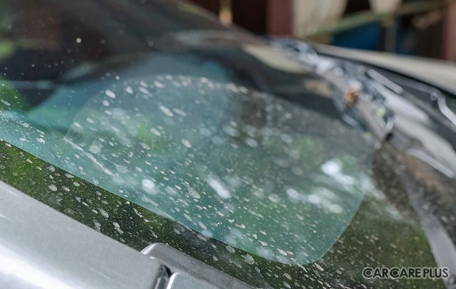 洗車を少しサボったら「白いウロコ汚れ」「黒い筋」などが残る…車の水アカを落とす正しい方法とは？　デメリットと注意点を知る