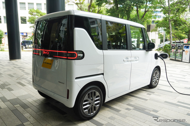BYD RACCO（ラッコ）