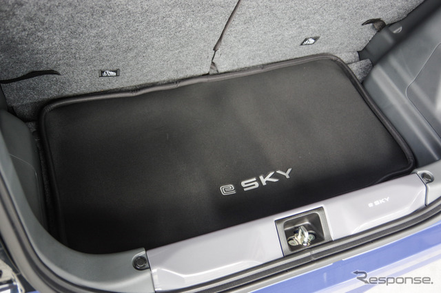 スズキ e SKY（eスカイ）のオプション装着車