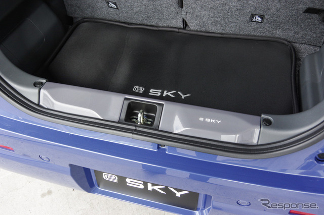 スズキ e SKY（eスカイ）のオプション装着車