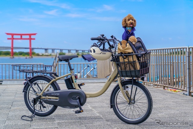 「わんこと乗れるレンタサイクル」の実証事業を、2026年10月1日から開始