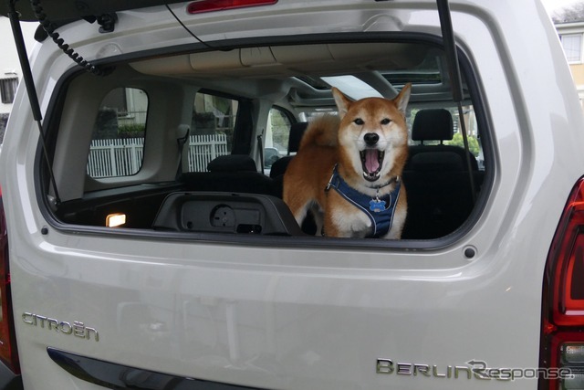 シトロエン・ベルランゴ SABLE MAX BlueHDi