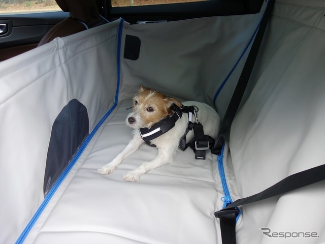 ボルボの愛犬用ドッグベッド ハーフサイズ