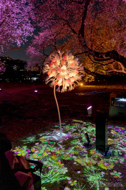 今回は特別に桜バージョンになっており、桜のアートオブジェにスマートフォンをかざすと、地面に映し出された桜の蕾がデジタルの花を咲かせる。
