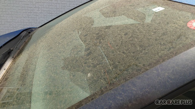 大量飛散の花粉に黄砂…“愛車が汚れる春”にプロが教える洗車の基本