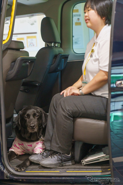 車内では、盲導犬は使用者の足元に。洋服は、お洒落のためではなく抜け毛をなるべく落とさないとの配慮から。