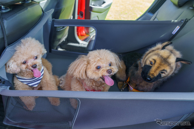 「ペットシートサークル」は小型犬なら3頭でも十分なスペースがありそうだ。