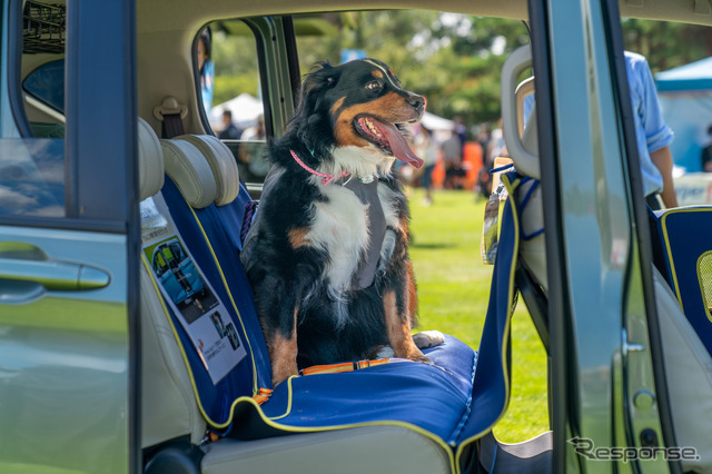 「ペットシートマット」でフリード＋の後席を愛犬専用スペースに。大型犬でも十分な広さだ。