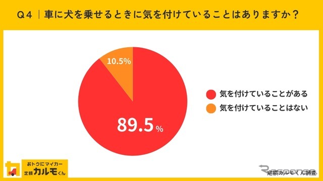 車に犬を乗せるときに気を付けていることはありますか？