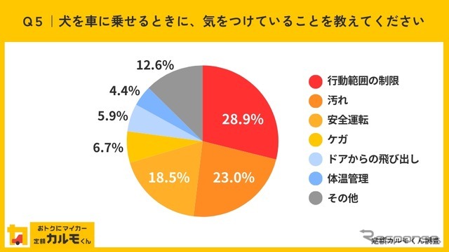 犬を車に乗せるときに、気をつけていることを教えてください