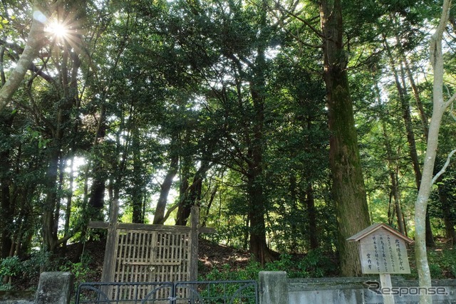 裏の林はニニギノミコトの御陵。