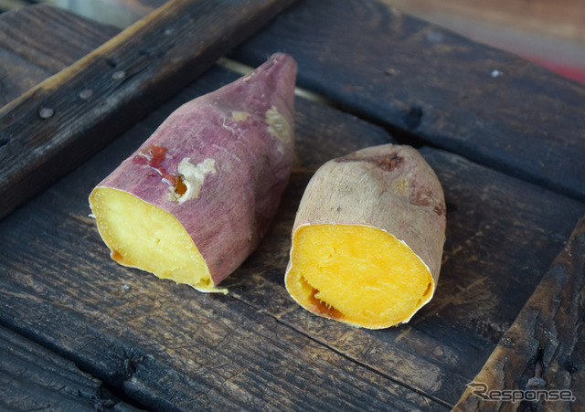 お土産屋さんで紅はるかと安納芋を試食。右のオレンジ色っぽい個体が安納芋。どちらもきわめて美味だった。