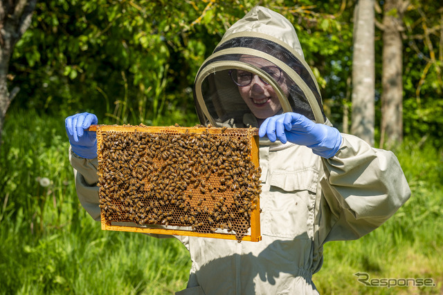 ロールスロイスの養蜂活動